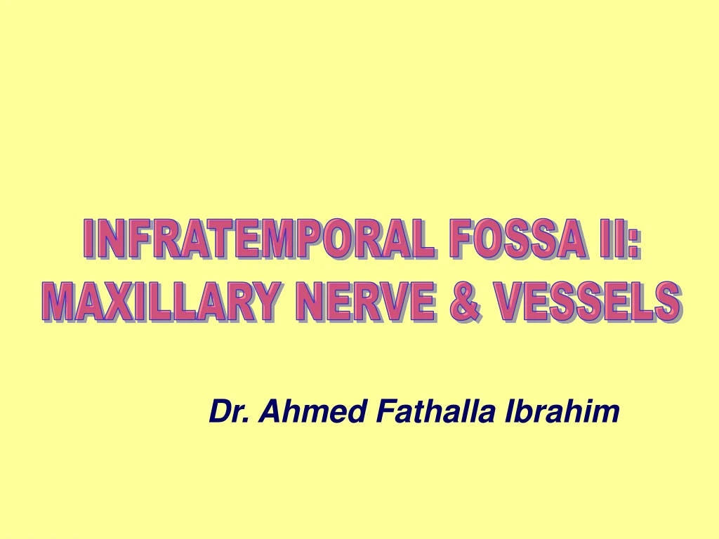 infratemporal fossa ii maxillary nerve vessels