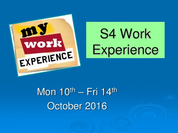 S4 Work Experience