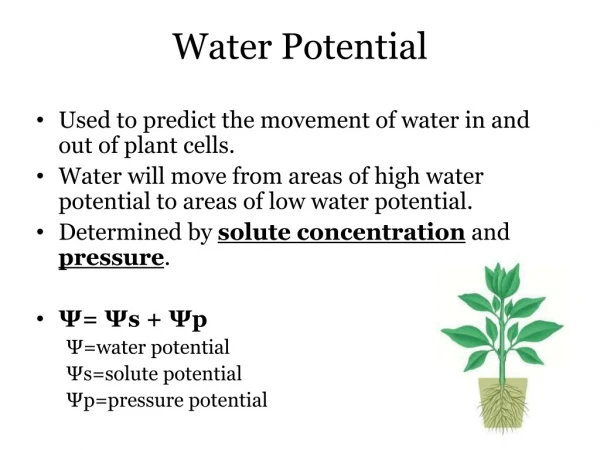 Water Potential