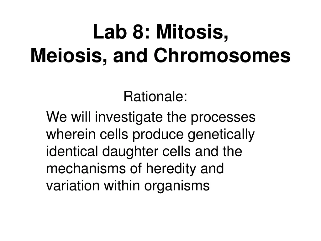 lab 8 mitosis meiosis and chromosomes