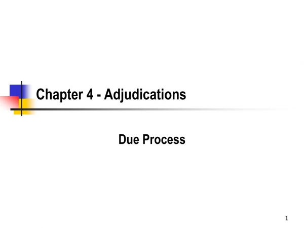 Chapter 4 - Adjudications