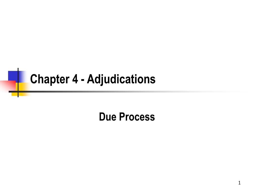 chapter 4 adjudications