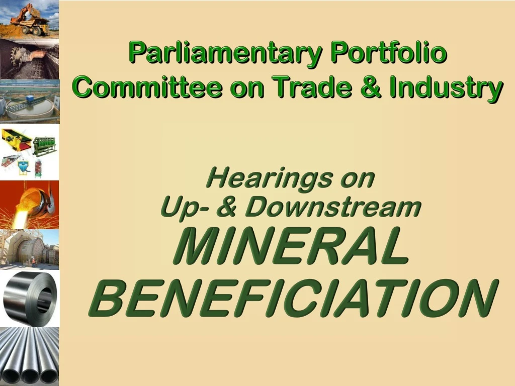 parliamentary portfolio committee on trade