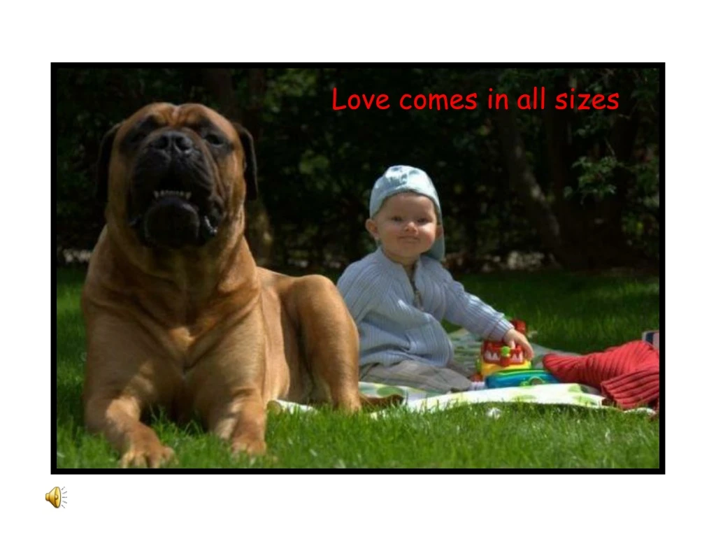 love comes in all sizes