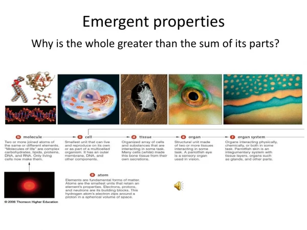 Emergent properties Why is the whole greater than the sum of its parts?