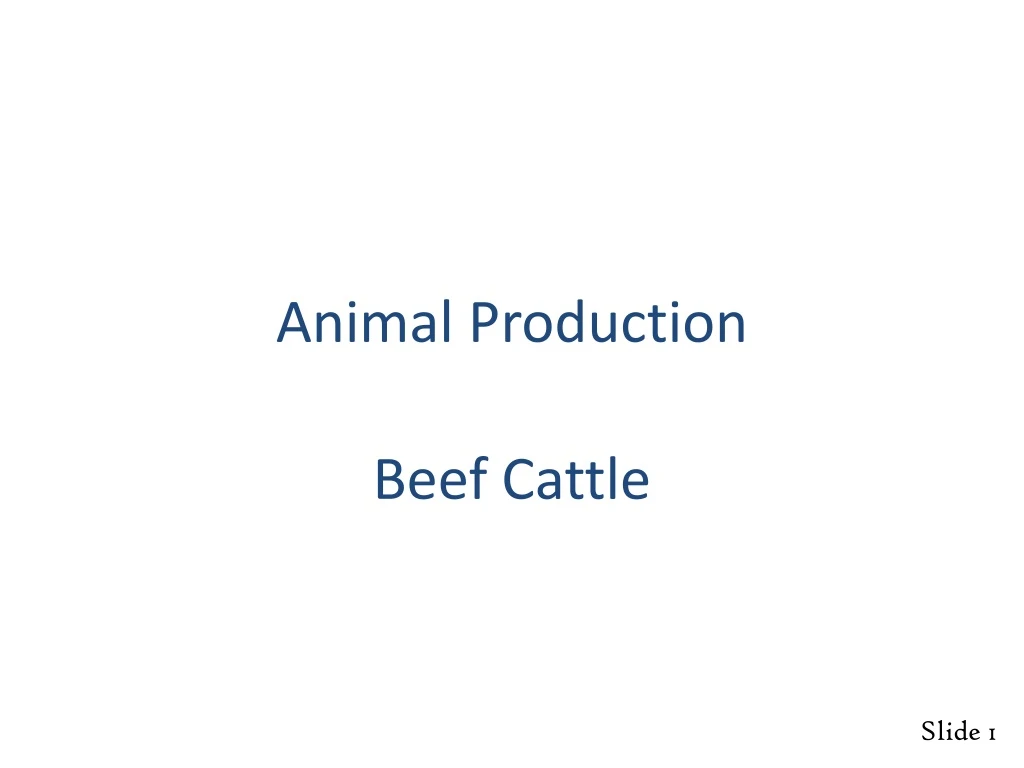 animal production