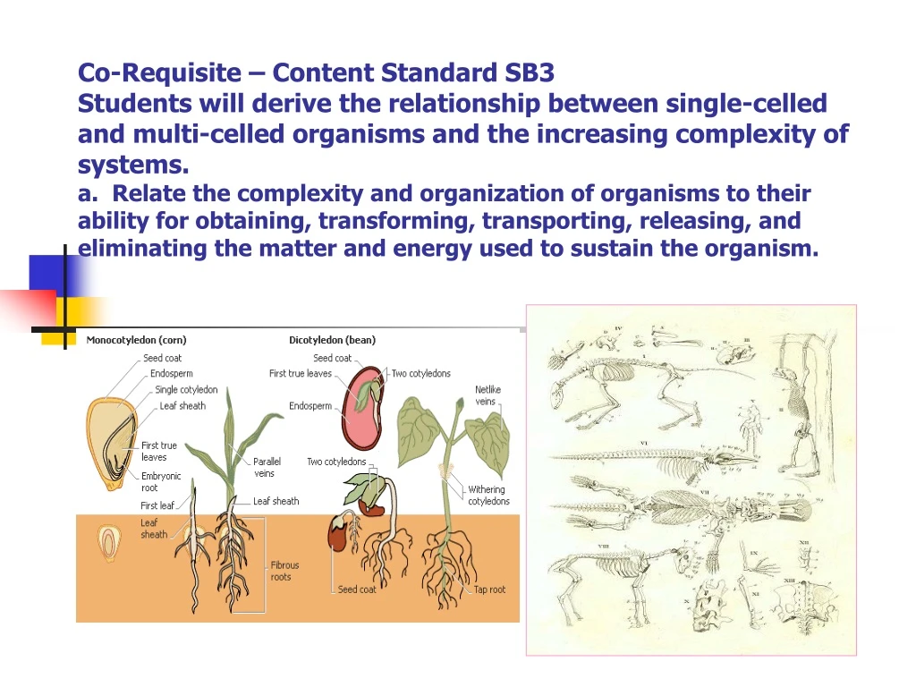 co requisite content standard sb3 students will