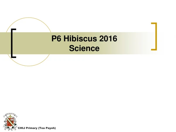 P6 Hibiscus 2016 Science
