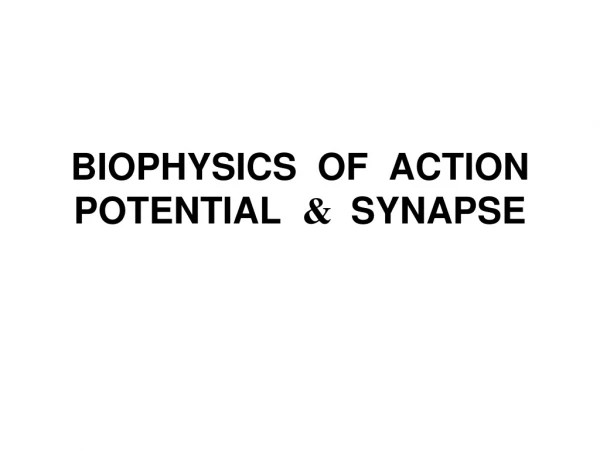 BIOPHYSICS  OF   ACTION  POTENTIAL &amp;   SYNAPSE