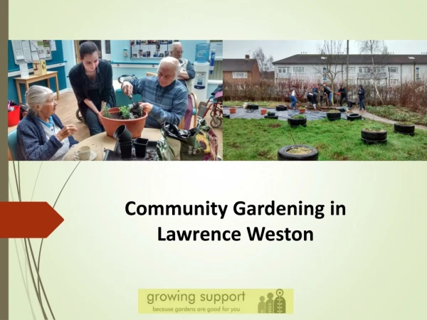 Community Gardening in Lawrence Weston
