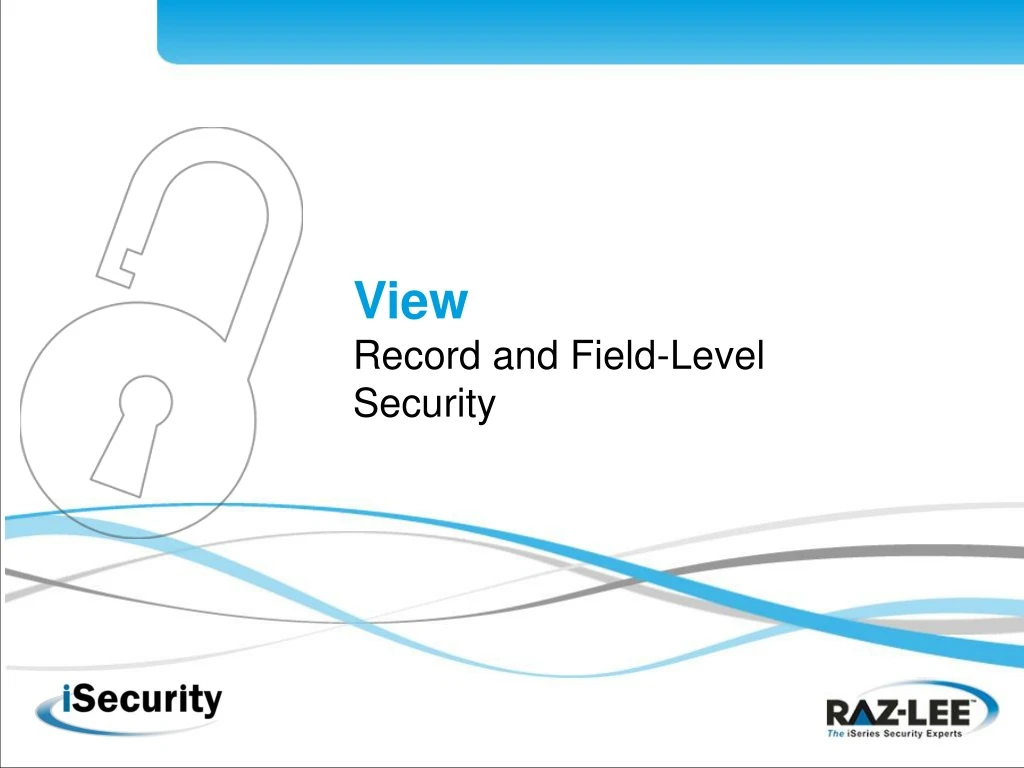 view record and field level security