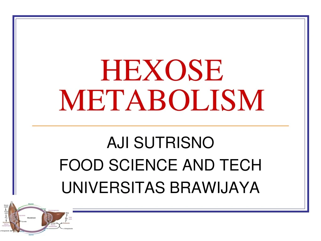 hexose metabolism