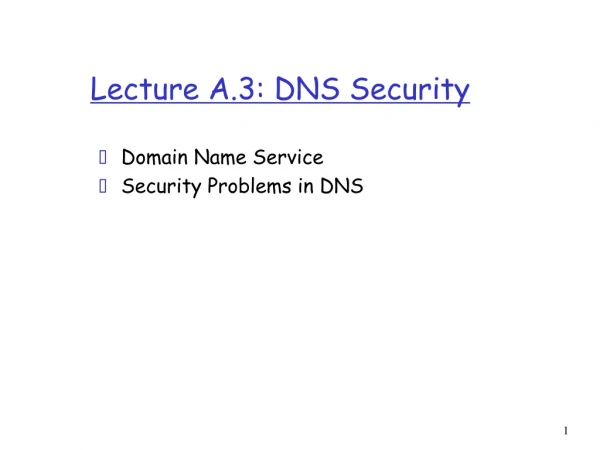 Lecture A.3: DNS Security