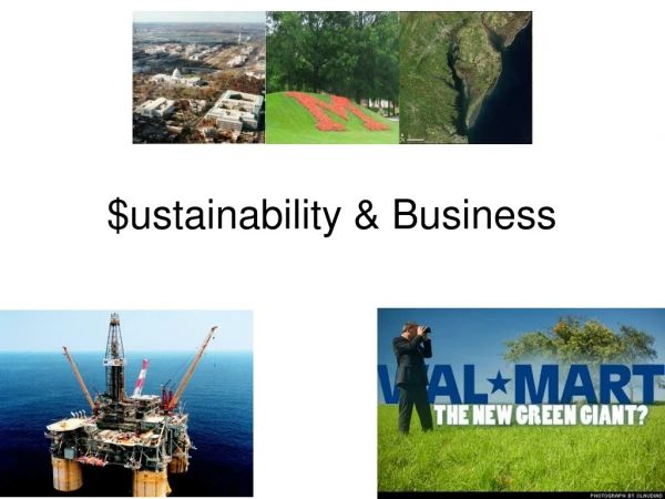 $ustainability &amp; Business