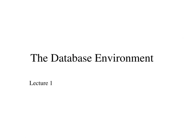 The Database Environment