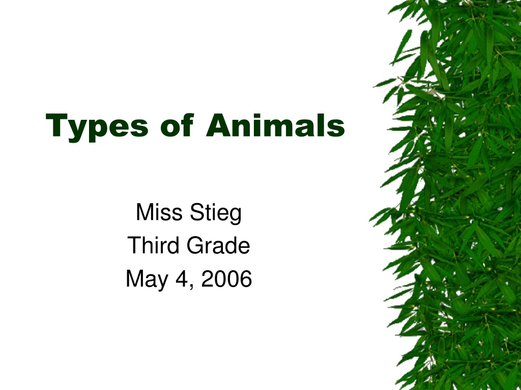 types of animals