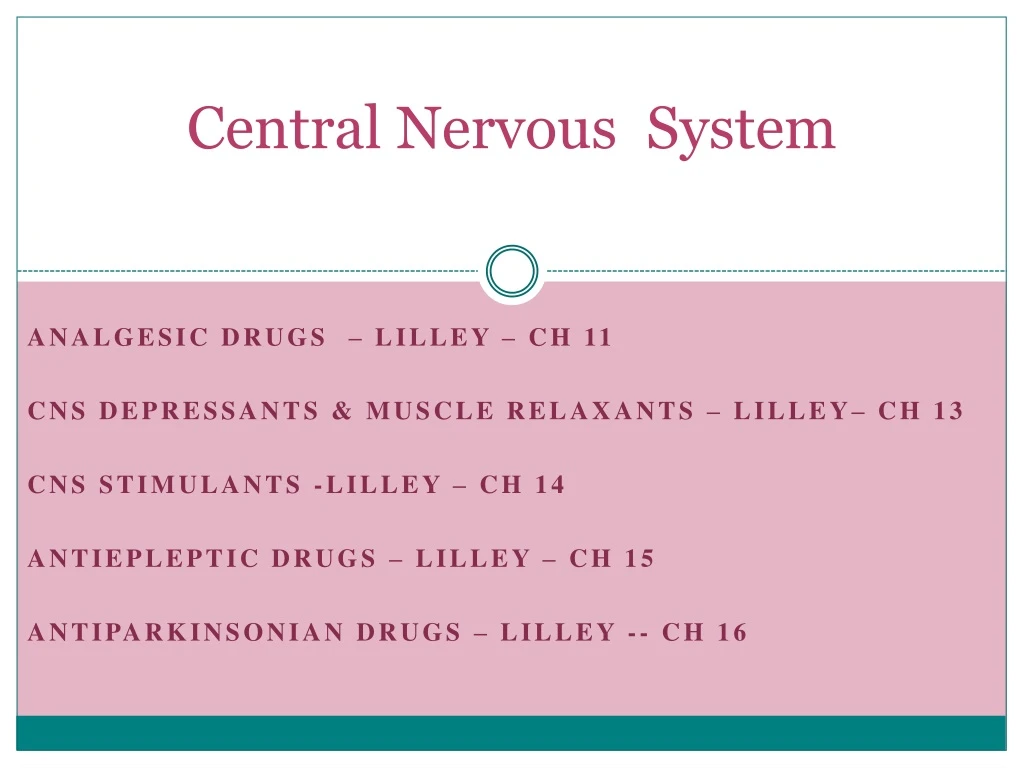 central nervous system