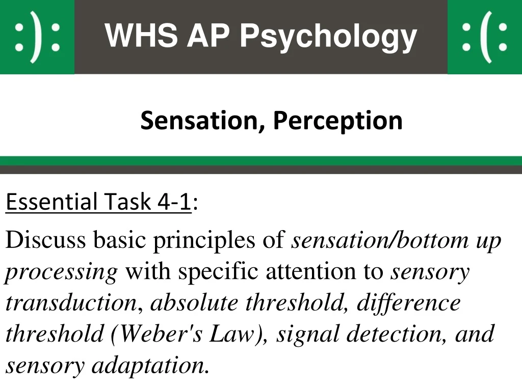 sensation perception