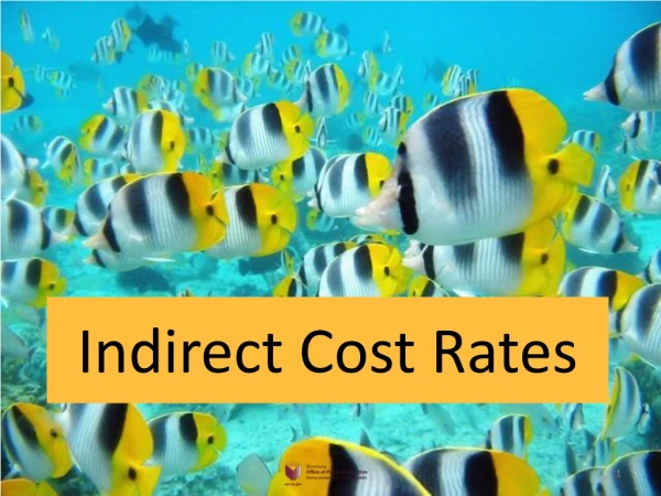 Indirect Cost Rates