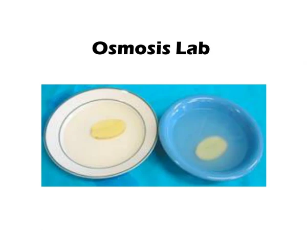Osmosis Lab