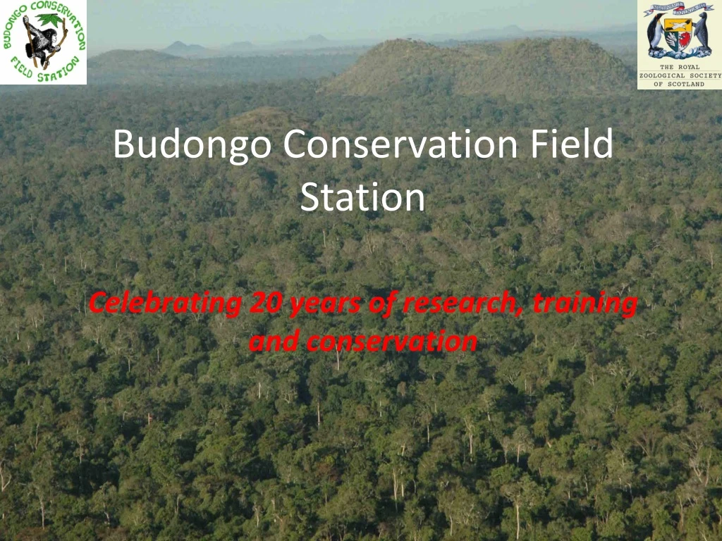 budongo conservation field station celebrating