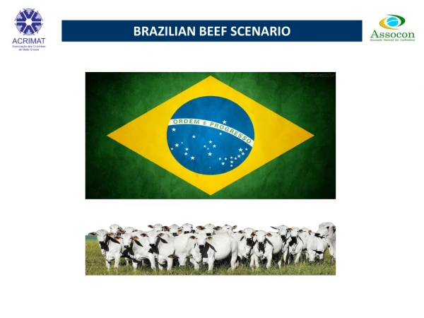 BRAZILIAN BEEF SCENARIO