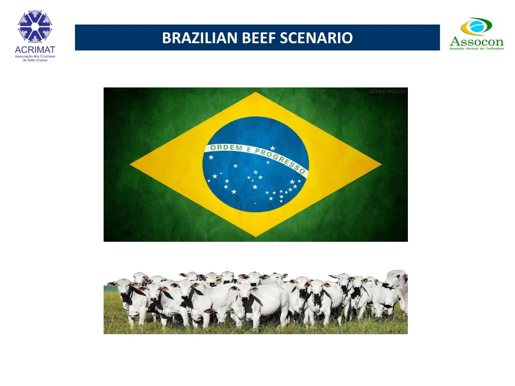 brazilian beef scenario