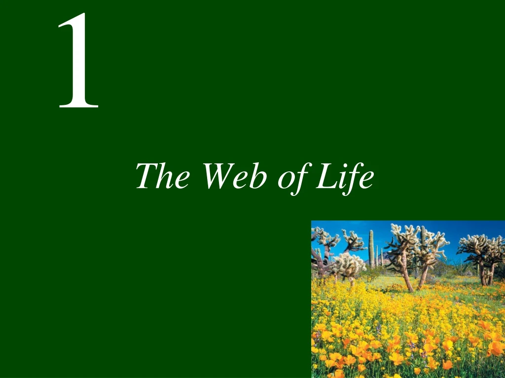 the web of life