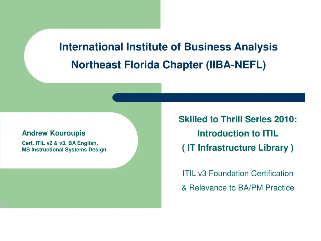 international institute of business analysis northeast florida chapter iiba nefl