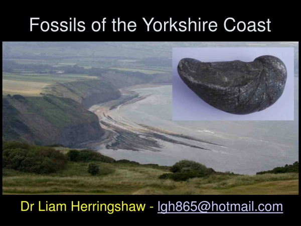 Fossils of the Yorkshire Coast