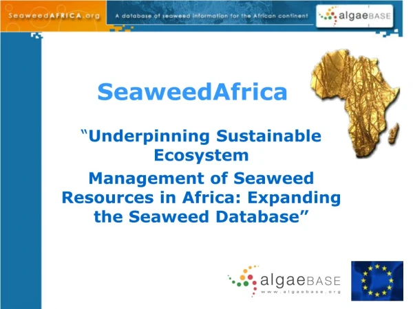 SeaweedAfrica