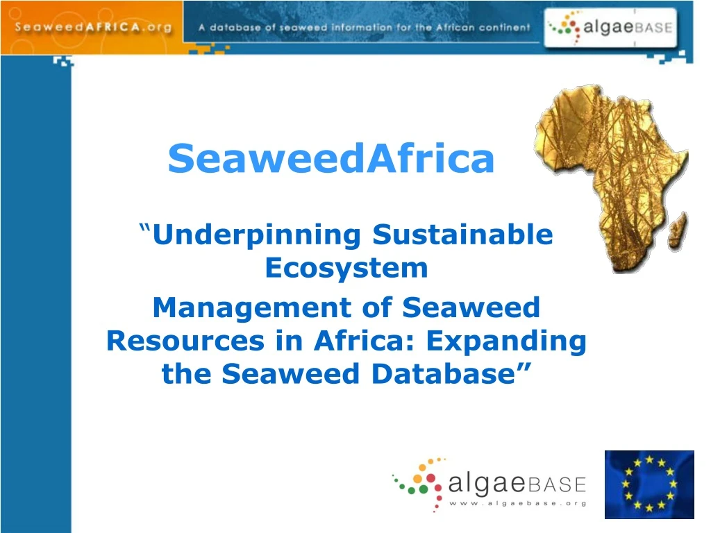 seaweedafrica
