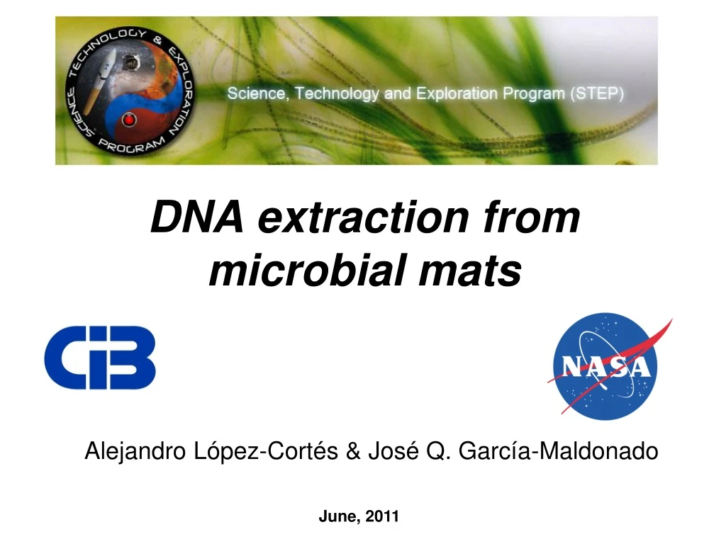 dna extraction from microbial mats