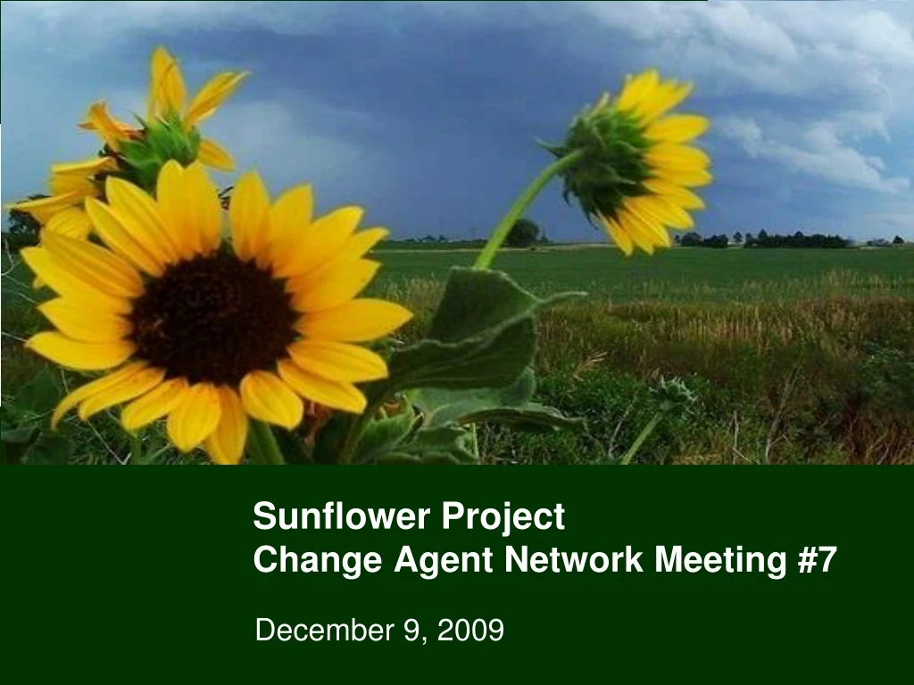 sunflower project change agent network meeting 7