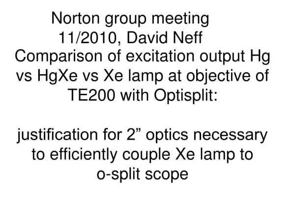 Norton group meeting 11/2010, David Neff