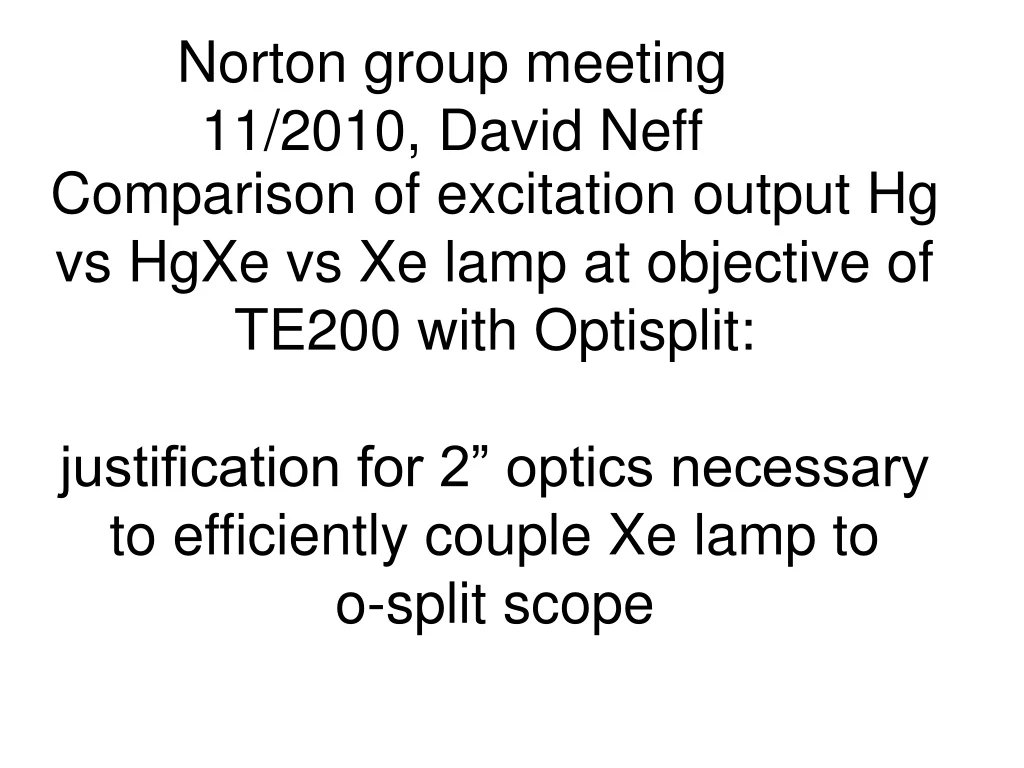 norton group meeting 11 2010 david neff