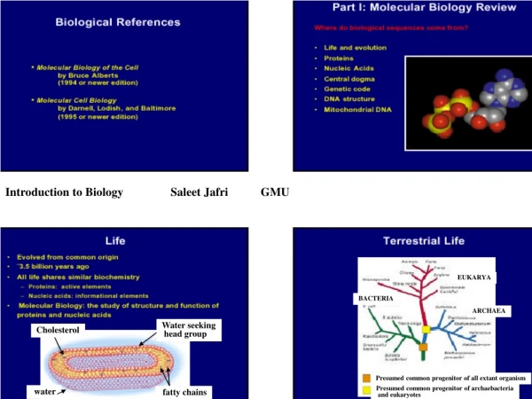 Introduction to Biology                Saleet Jafri           GMU