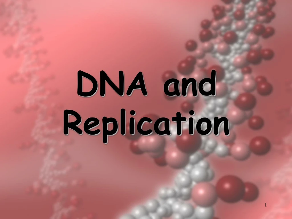 dna and replication