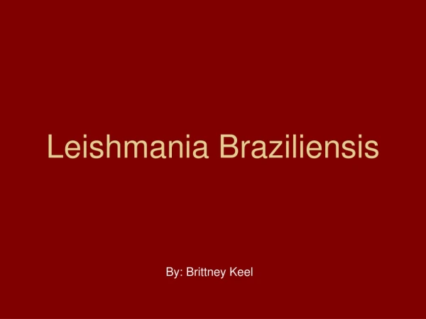 Leishmania Braziliensis