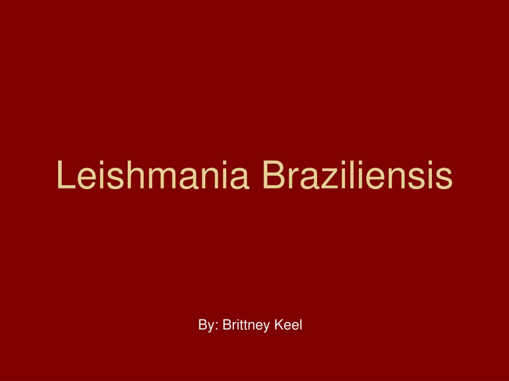 leishmania braziliensis