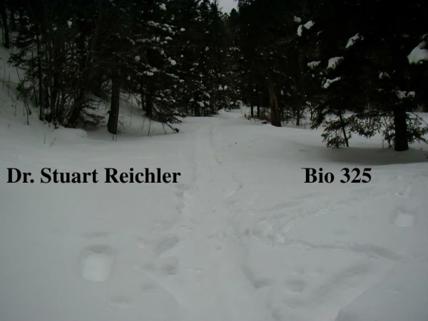 Dr. Stuart Reichler                       Bio 325