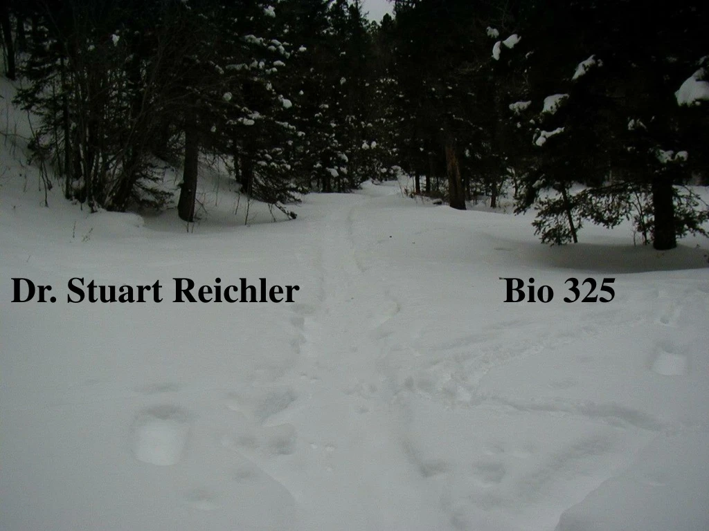 dr stuart reichler bio 325