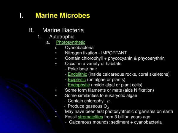 Marine Microbes Marine Bacteria Autotrophic Photosynthetic Cyanobacteria