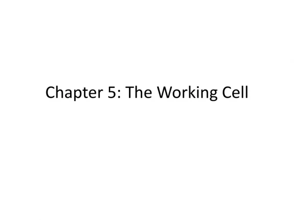 Chapter 5: The Working Cell