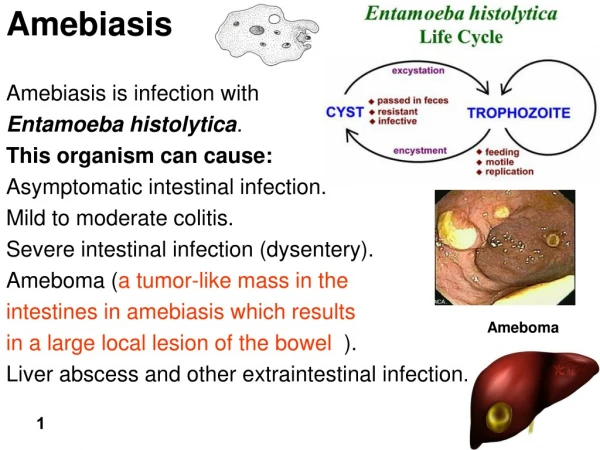 Amebiasis Amebiasis is infection with  Entamoeba histolytica . This organism can cause: