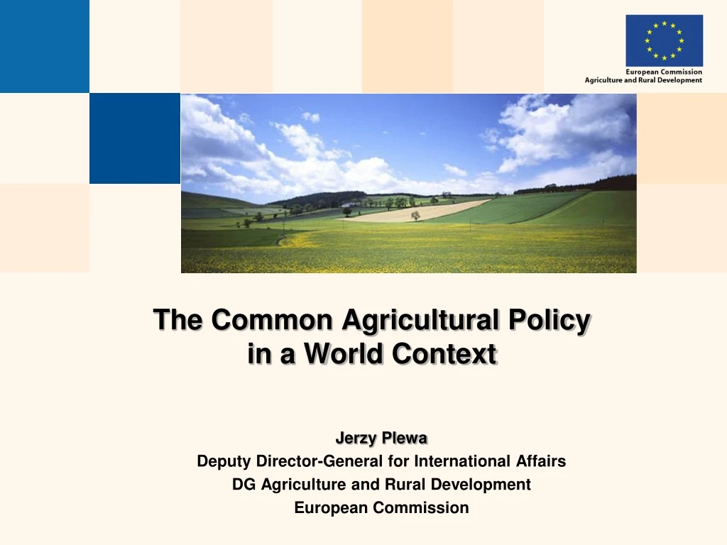 the common agricultural policy in a world context