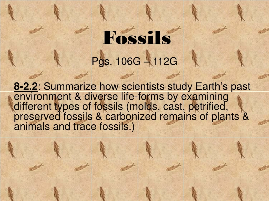 fossils