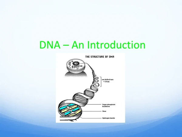 DNA – An Introduction