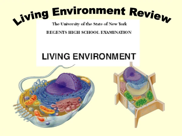 Living Environment Review