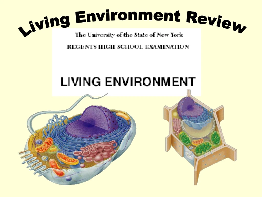 living environment review